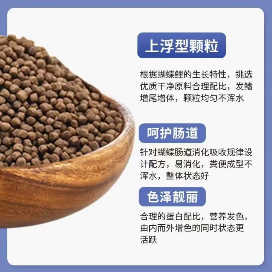 【蝴蝶鲤专用鱼粮】增白发尾高蛋白小颗粒诱食配方喂食