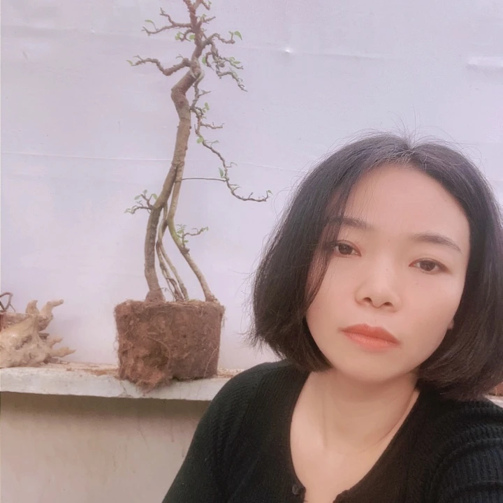 花木平**福花木郎榆树盆景老桩