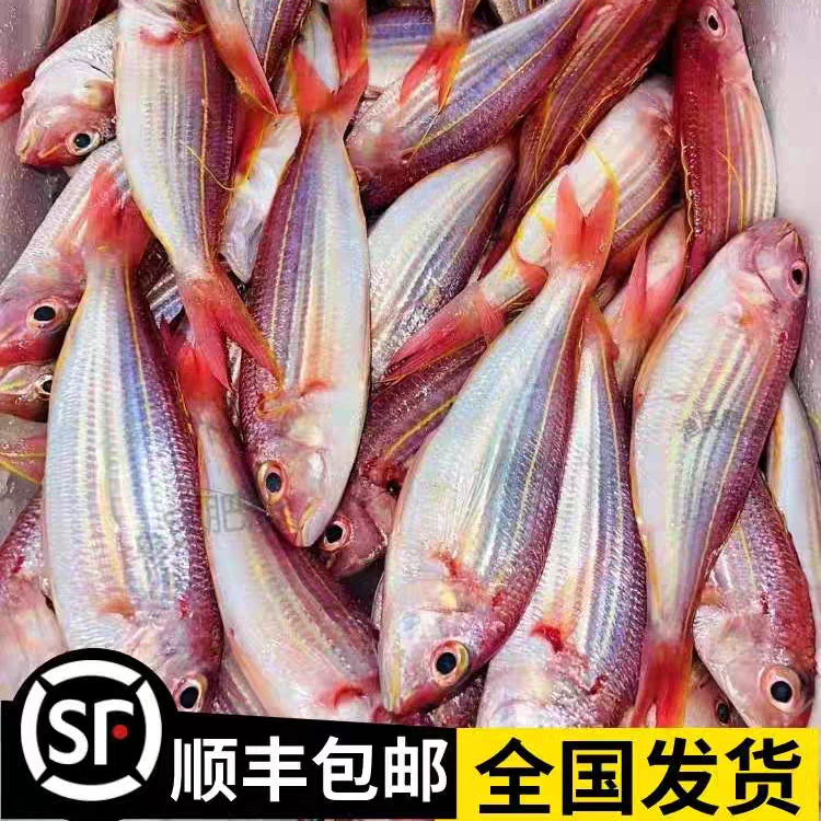 新鲜金线鱼去头去内脏没有碎刺（每包500克12条左右）到手4包4斤