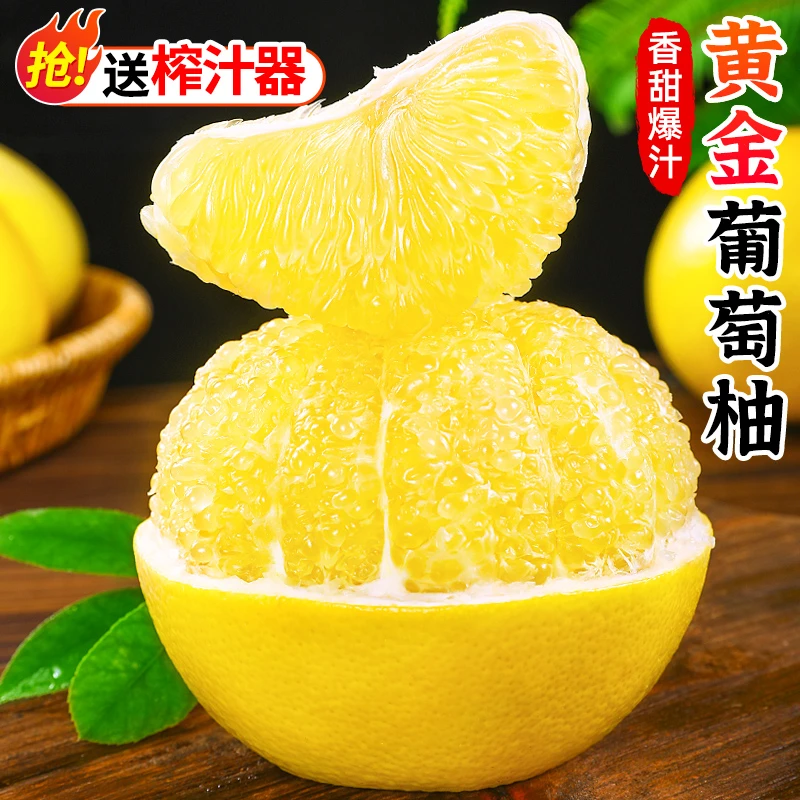 【清甜多汁】福建黄金葡萄柚1个-9斤柚子黄肉蜜柚西柚新鲜水果黄柚