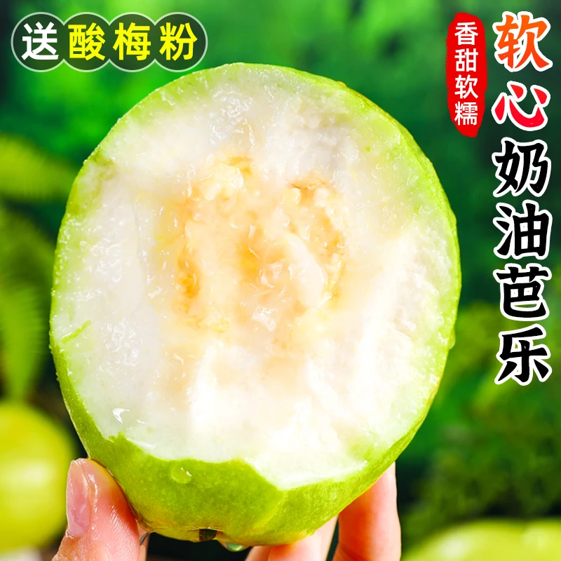 【软糯香甜】奶油芭乐1-9斤新鲜水果软心白心番石榴冰淇淋巴乐果