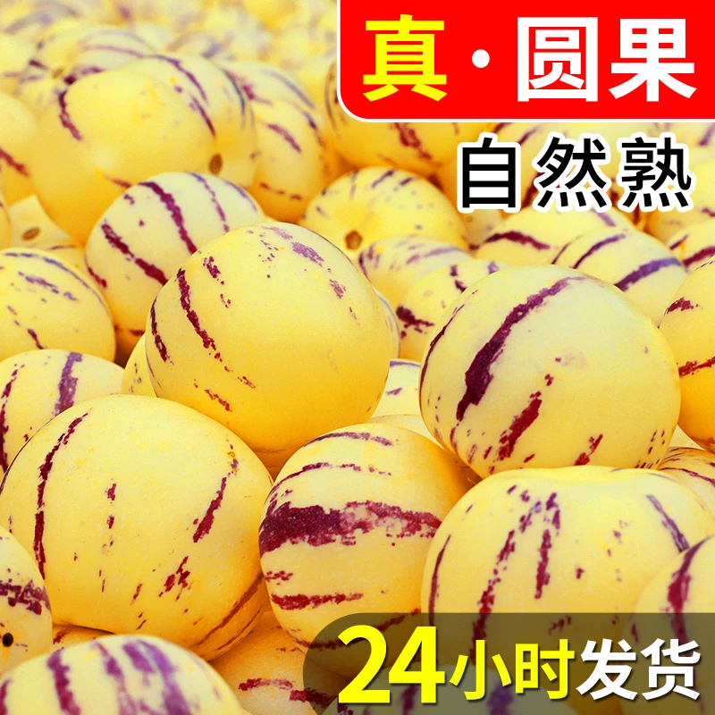 【览拓】云南参果 圆果水果新鲜大果包邮人叁果人生果当季整箱10