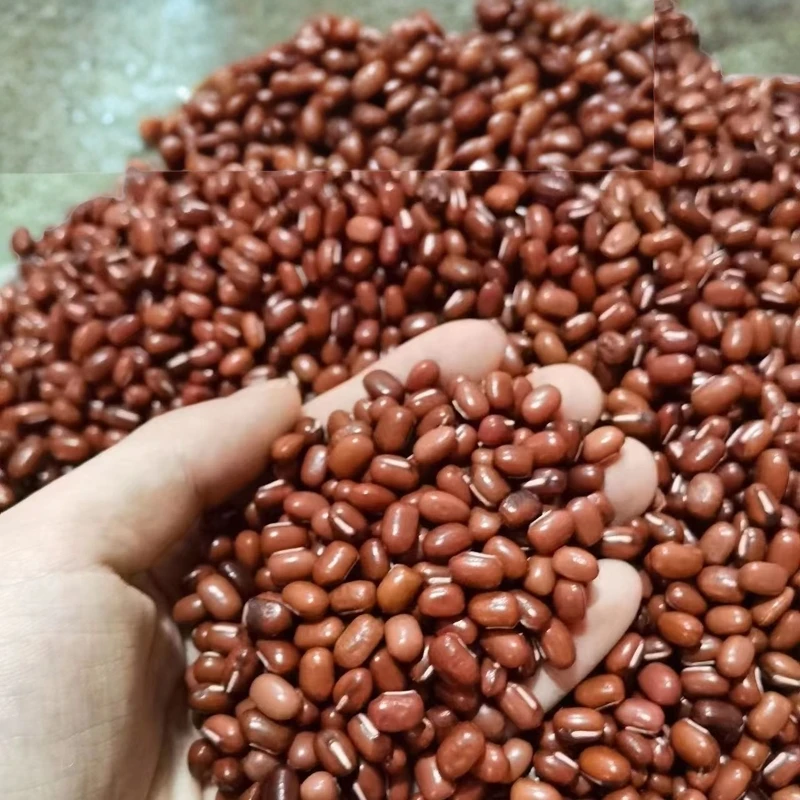 东北特产红豆赤小豆煮粥煲汤打豆浆五谷杂粮粗粮豆新货农家易出沙