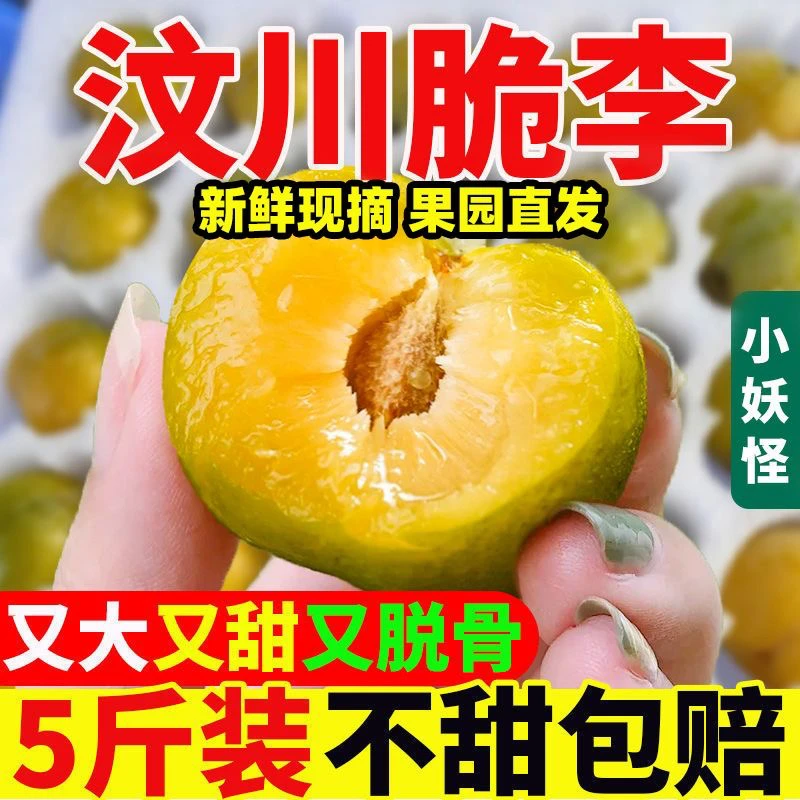 正宗汶川脆李高山新鲜青脆脱骨李冰糖李青皮李子5斤包邮现摘现发