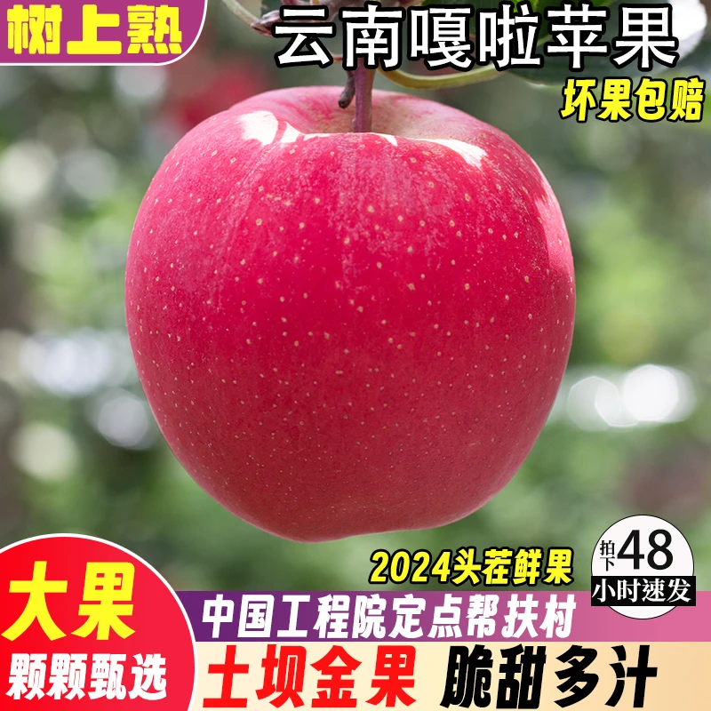 精品新鲜嘎啦苹果5-10斤装应当季水果青红富士香甜冰糖心嘎啦整箱