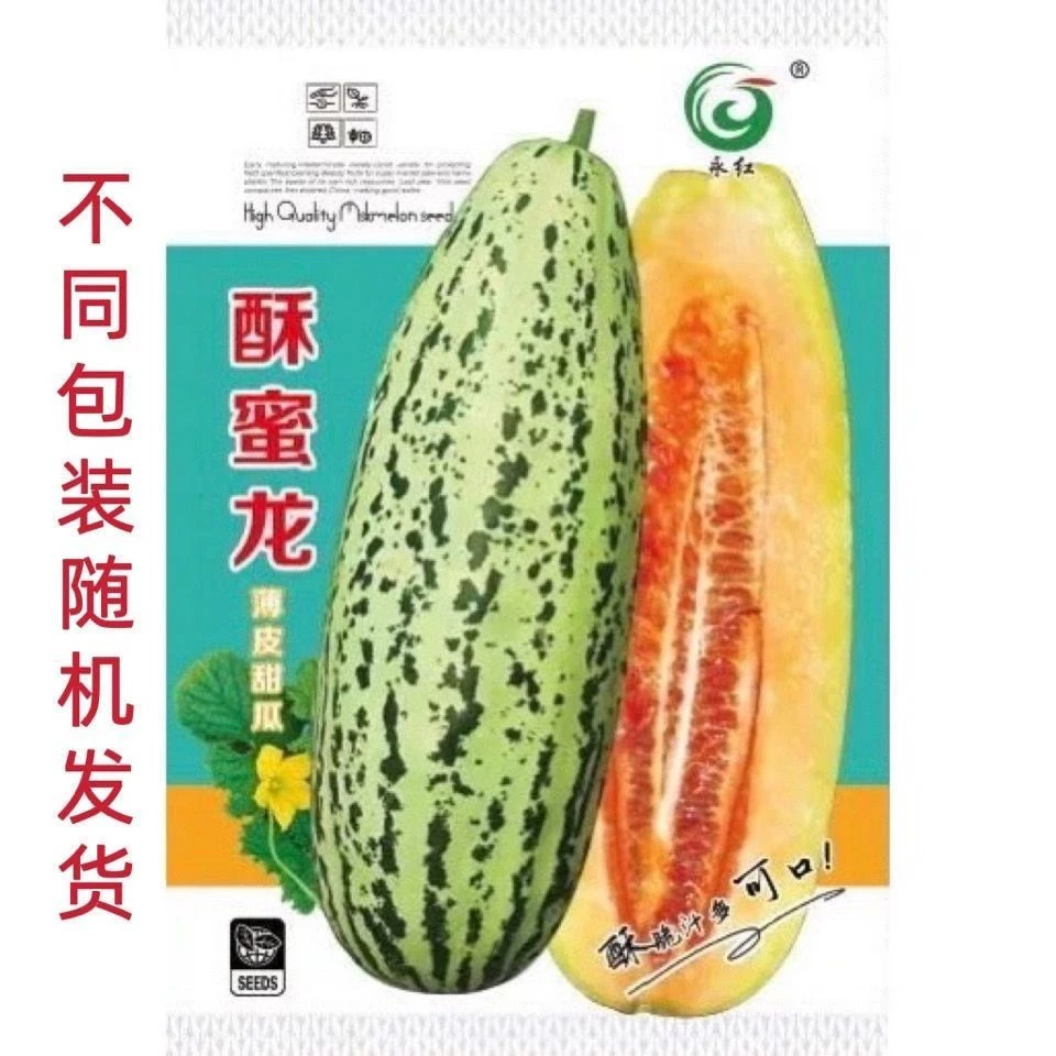 酥蜜龙薄皮甜瓜种子高产早熟花皮牛角酥甜瓜种籽特大超甜水果种孑