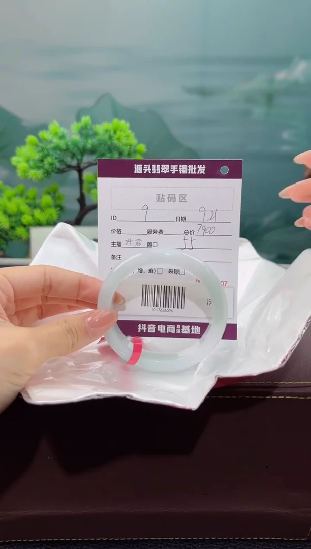 【闪购商品】翡翠手镯未镶嵌手镯9