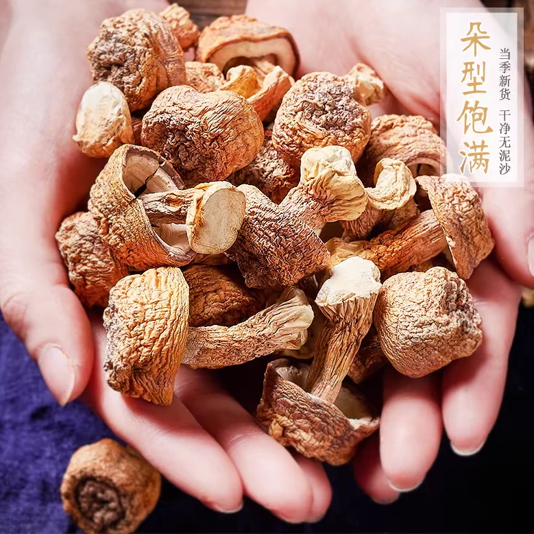 云南土特产 现收山货 本色姬松茸