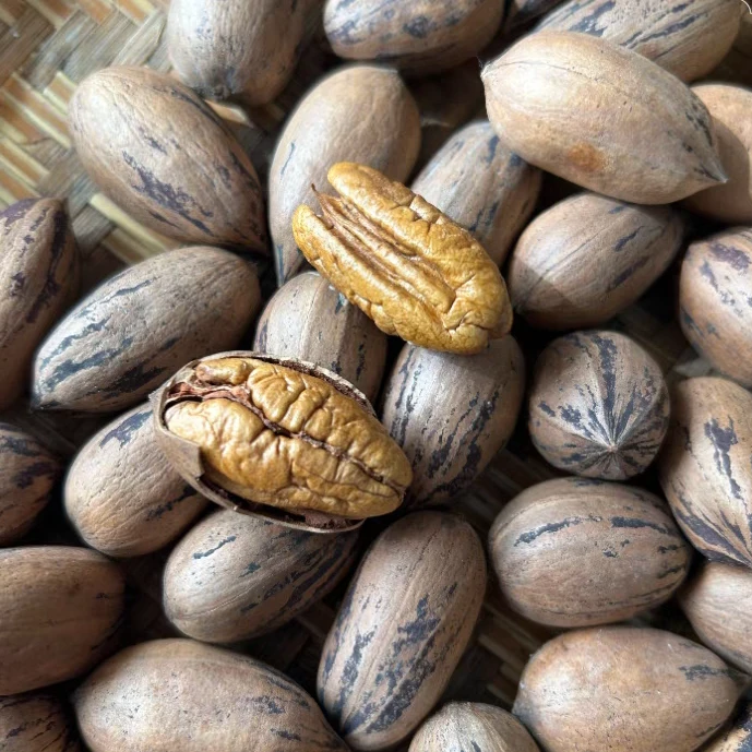 云南土特产现收山货 碧根果