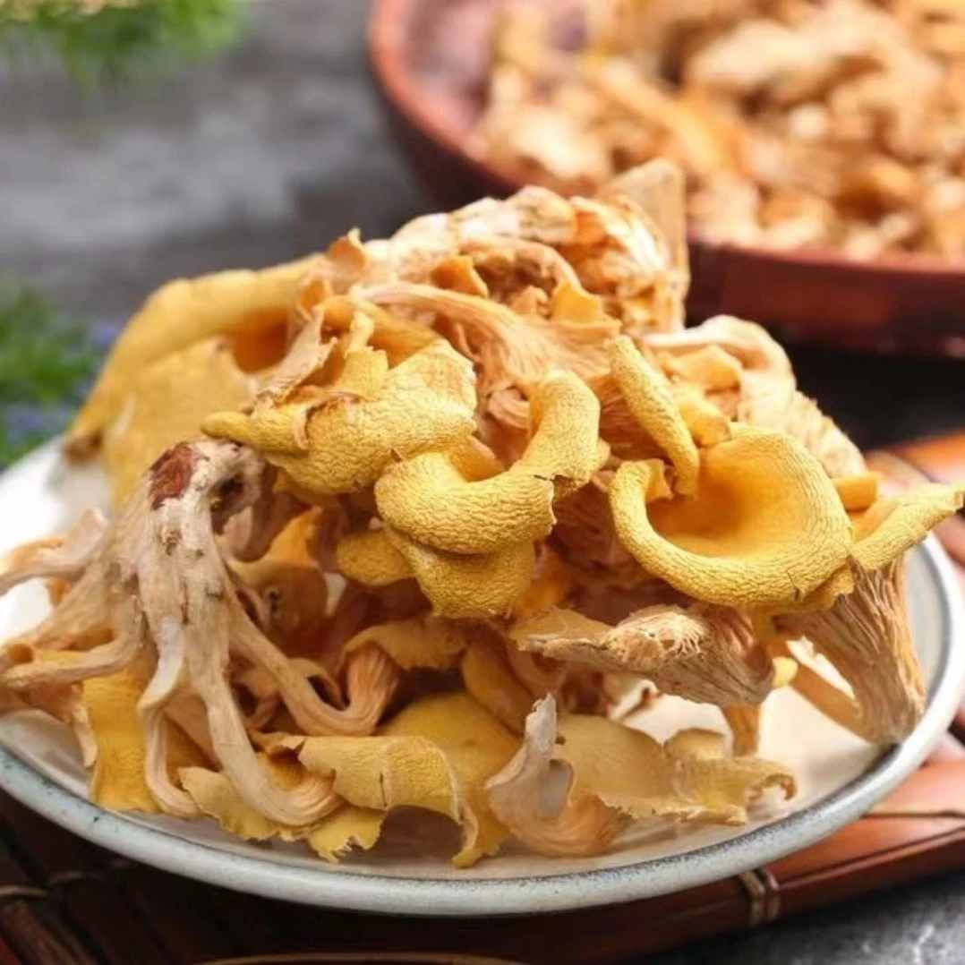 云南土特产 现收山货 鸡油菌、黄金菇榆黄菇