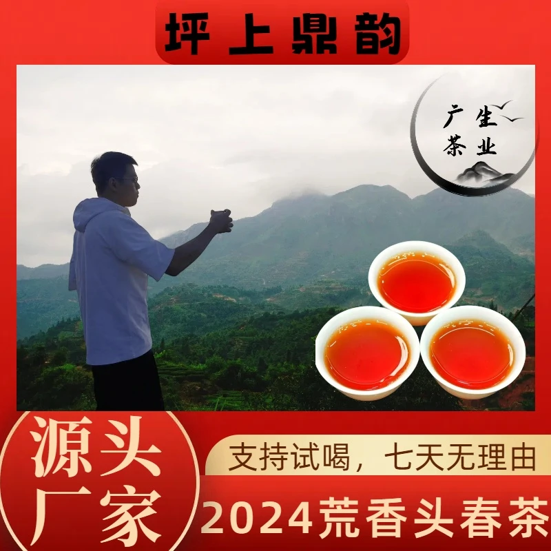 坪上炒茶 {荒香头春茶} 2025年明前采摘 花蜜香荒野韵