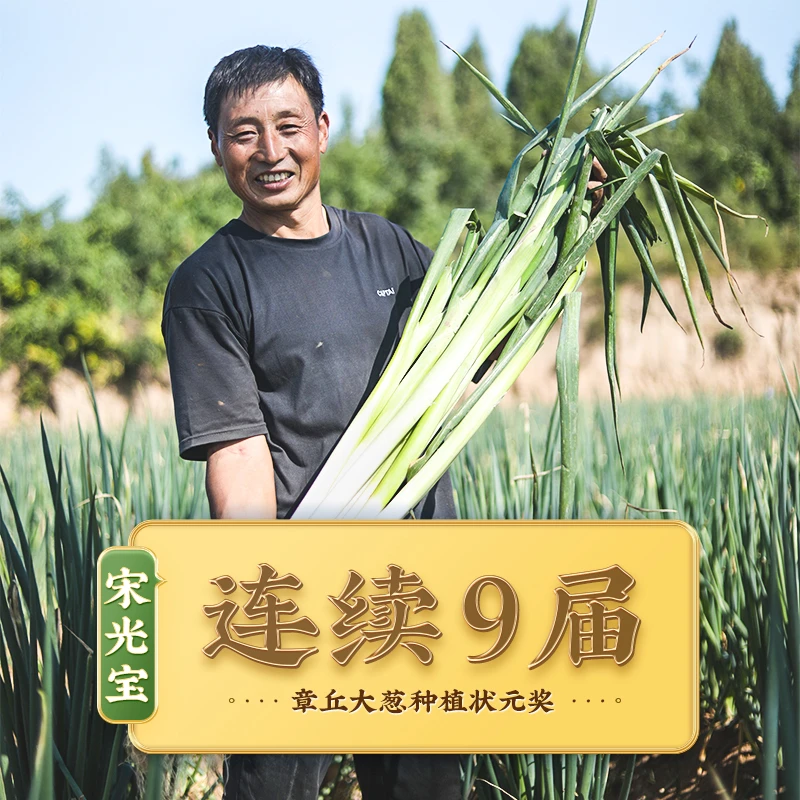 章丘大葱农家自种现挖大葱 现发9斤新鲜速发（99%的人选择）