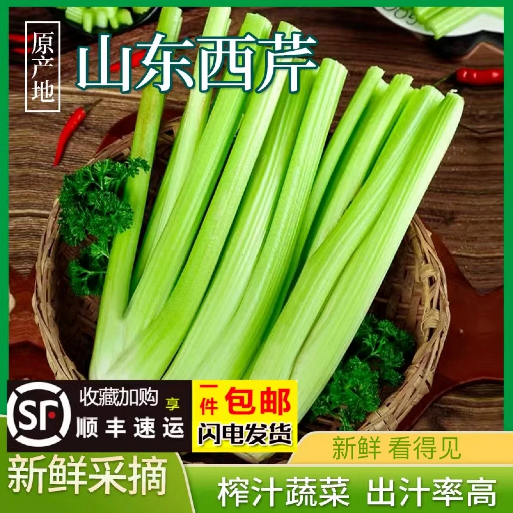 [西芹榨汁专用]新鲜芹菜 产地批发农家土肥种植 人工挑选健康蔬菜
