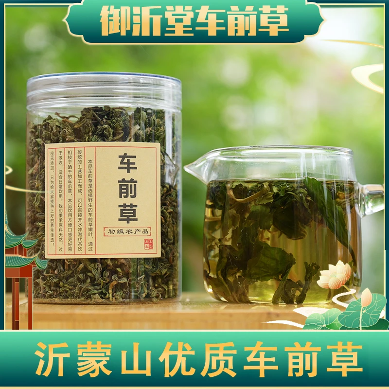 御沂堂道地野生车前草茶 70克一罐装