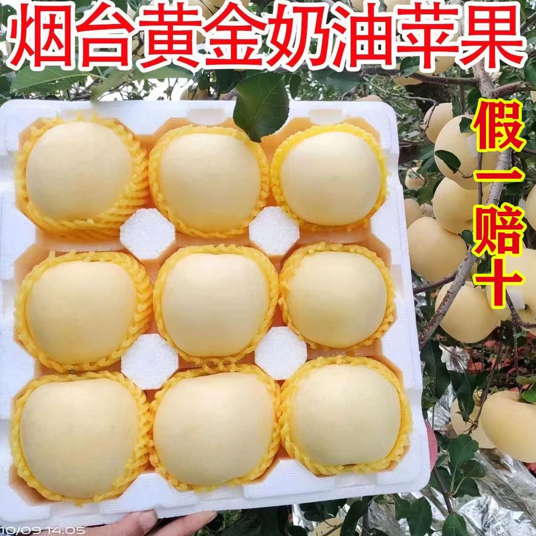 入冬现摘奶油富士苹果脆甜多汁当季应季新鲜水果净重4.5/3斤
