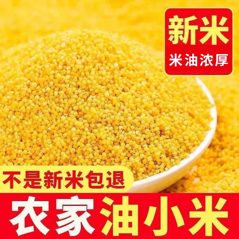 【保证新米】优质正宗糯黄小米农家新米金苗米熬粥米油多杂粮