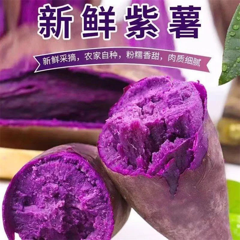 九月红紫薯紫峰榨汁花青素早餐8斤装