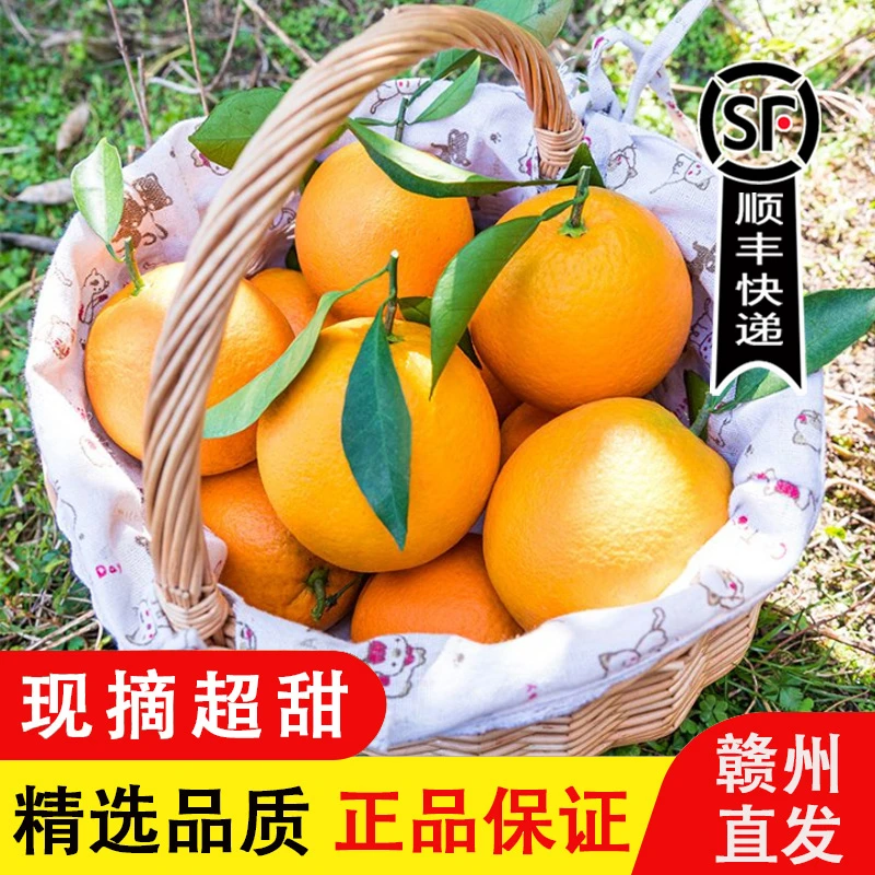 【顺丰快递】正宗赣南脐橙江西新鲜采摘水果香甜多汁皮薄脆嫩甜橙子
