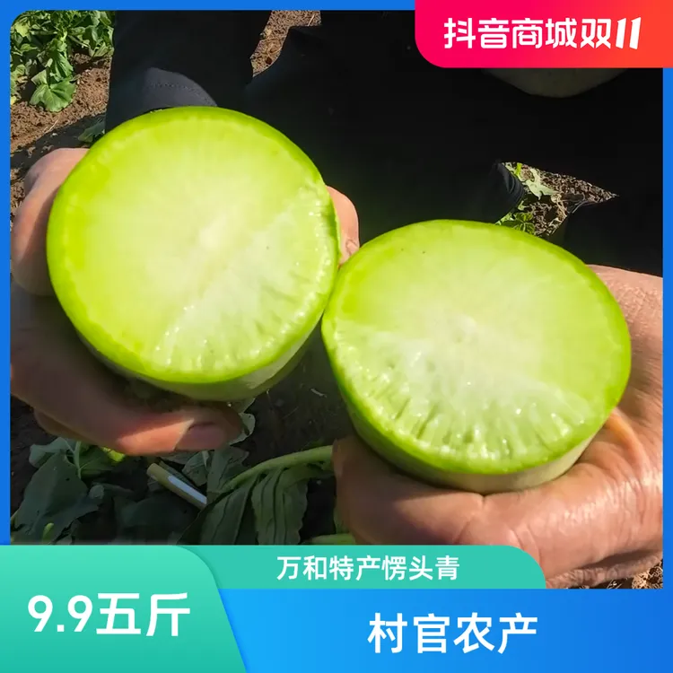 【万和童家湾特产】愣头青萝卜