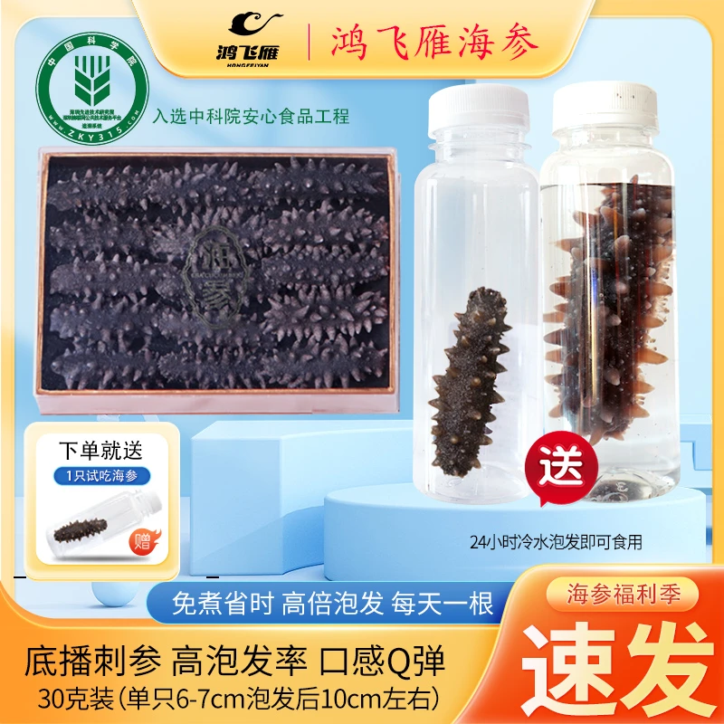 鸿飞雁特产底播海参30克装干货海参速发底播淡干海产滋补送礼长辈