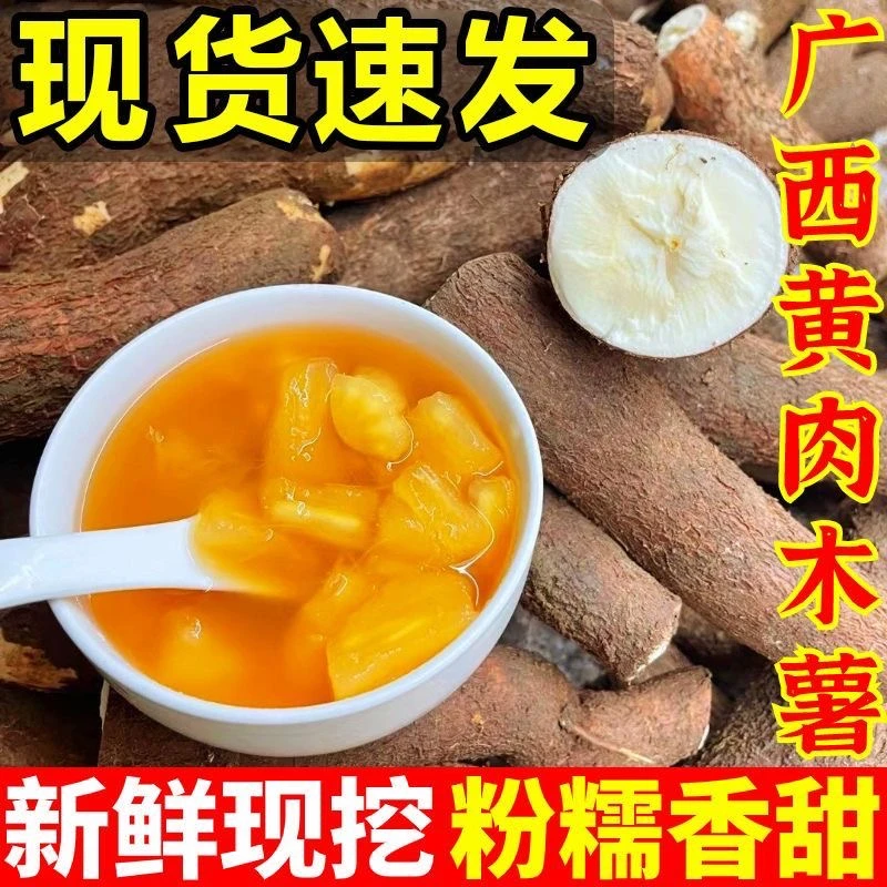 新鲜木薯现挖黄心黄肉蛋黄木薯健康无毒糖水店专用广西特产木番薯