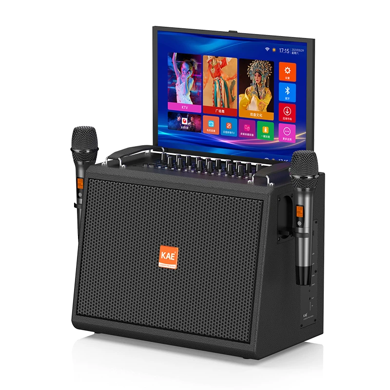 英国KAE进口专业乐器弹唱直播视频点歌音响TK08
