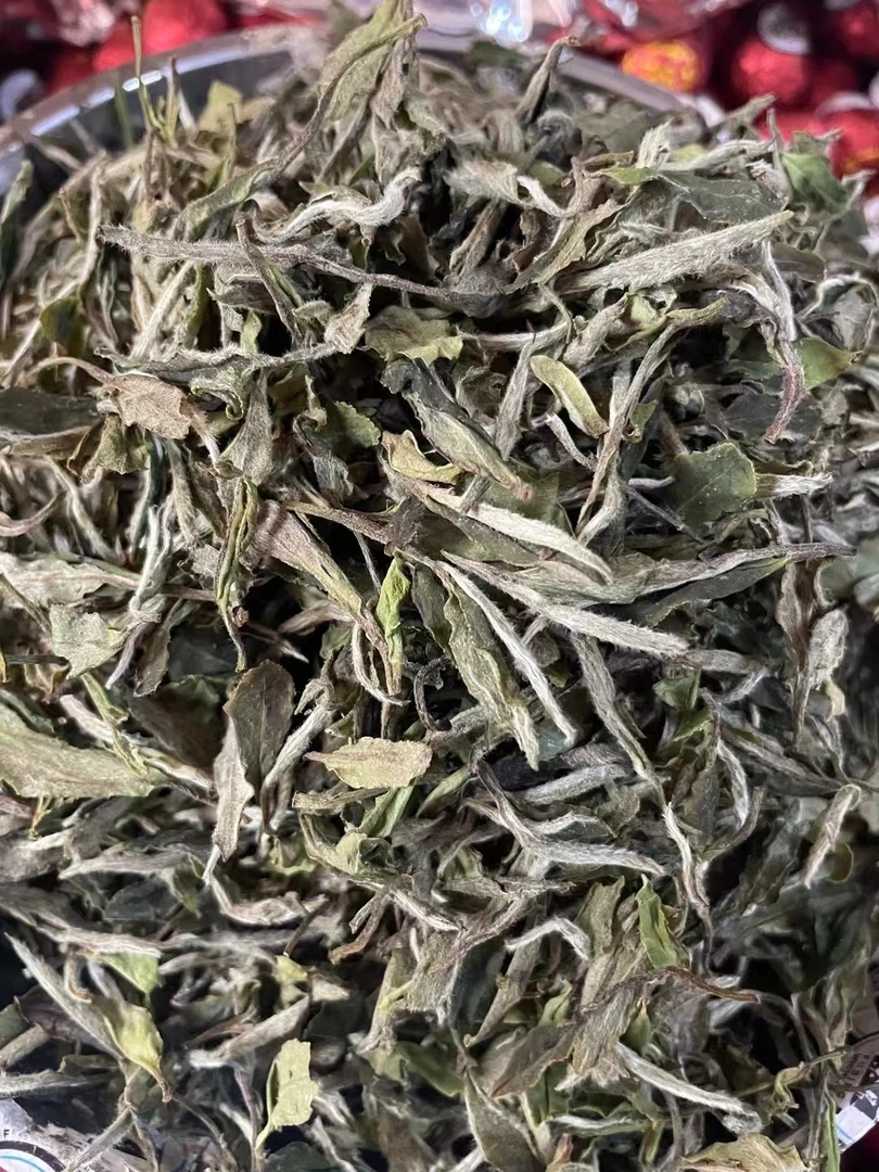 2017年荒野老树牡丹