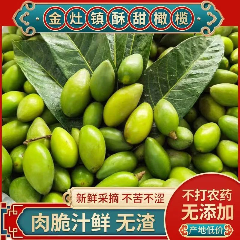 正宗潮汕甜种青橄榄果新鲜现摘香甜二号生吃回甘孕妇水果炖汤泡水