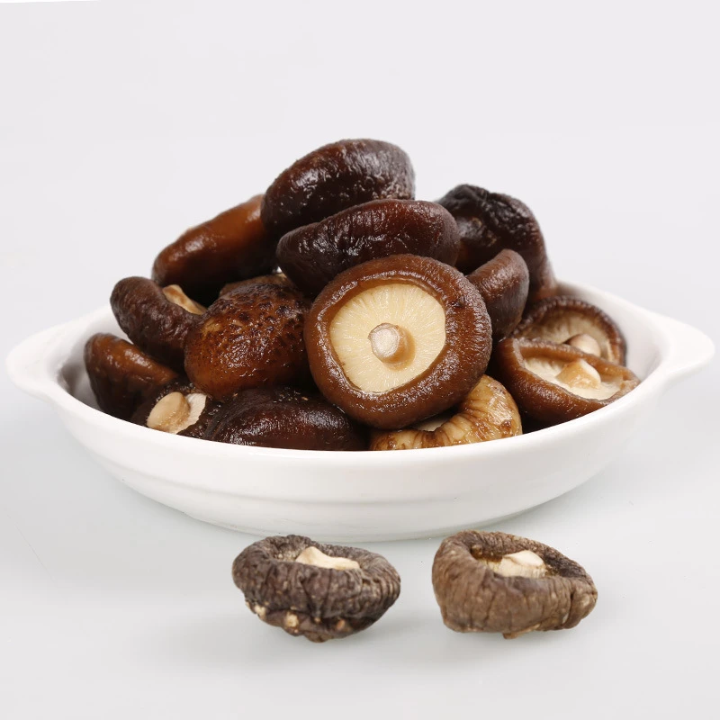 秦岭小香菇甘肃陇南特产冬菇干货金钱菇肉厚根短当季新货自然风干