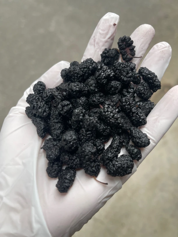 无磺黑果子250克黑果子