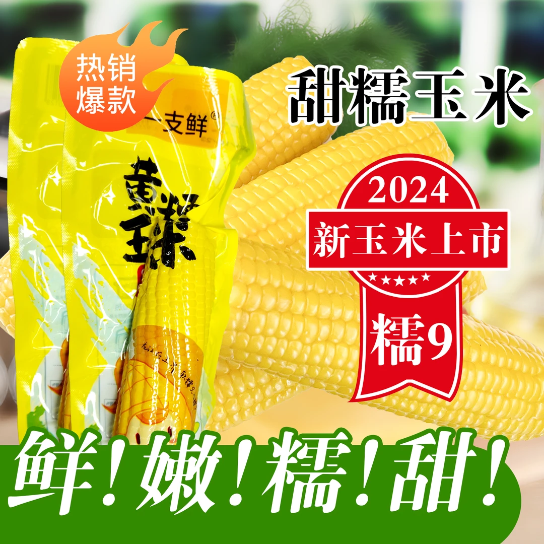 头茬博斯糯9【试吃两根】东北黄甜糯玉米10支单支220克