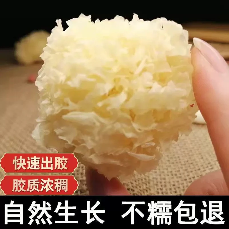 古田椴木小银耳500g干货严选深山椴树白木耳莲子软糯多胶美食50g