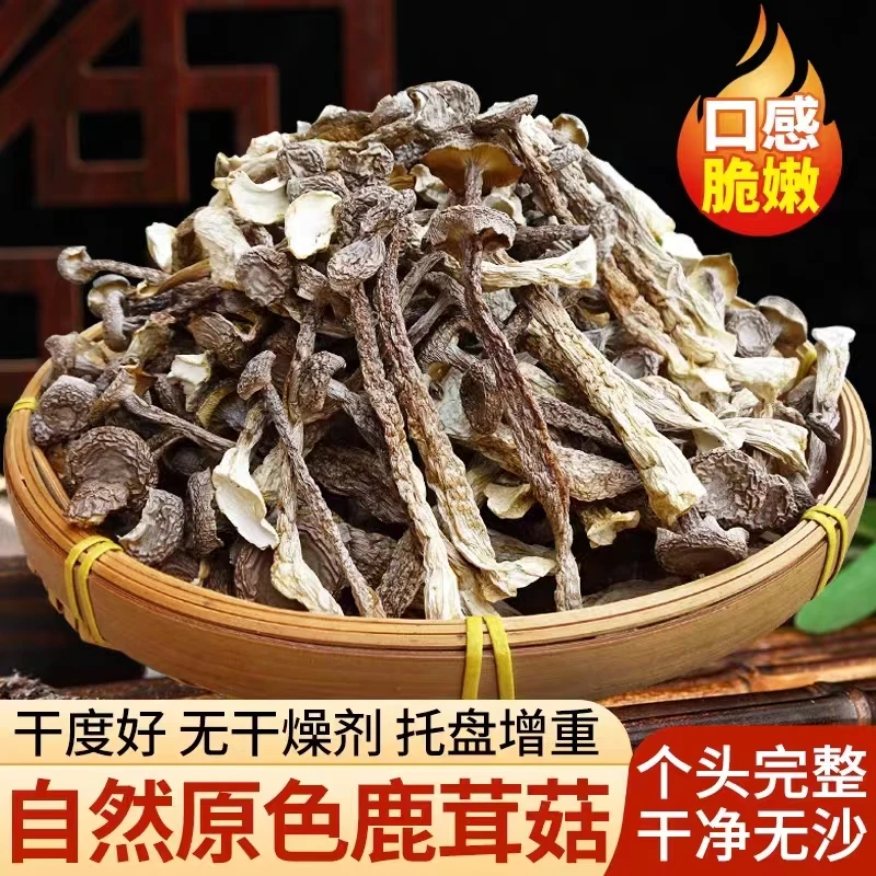 鹿茸菇干货500g鹿茸菇排骨汤鹿茸菌菇菇类干货脆脆菇香脆嫩西100g