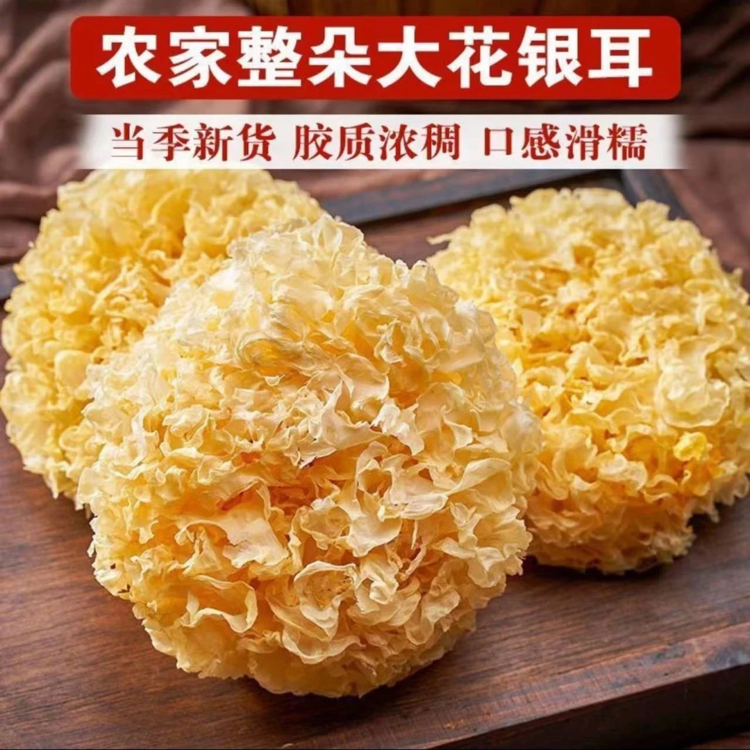 【今年新货】福建古田银耳整朵大花古田糯胶质新货多丑耳新鲜白木耳