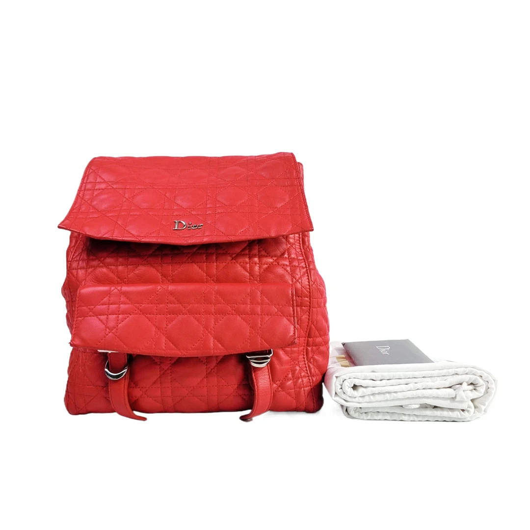 95新 迪奥 安洁利严选双肩包/BK0127781 双肩包