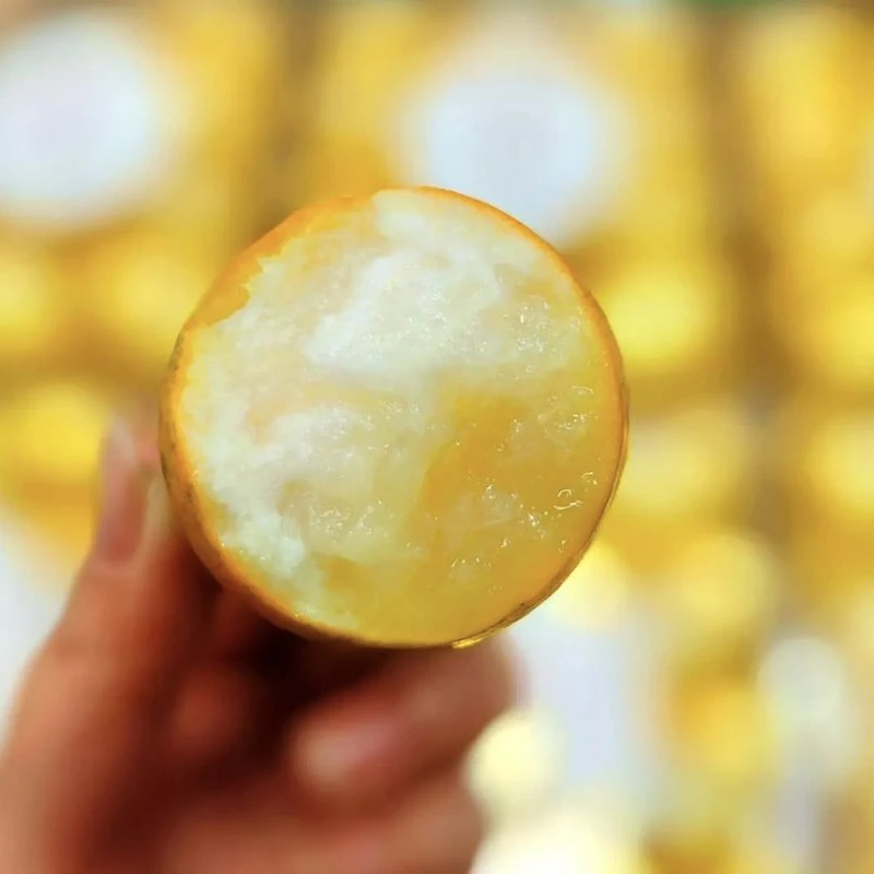 【顺丰包邮】正宗广西第三代脆蜜金桔自有果园拍两斤送一斤