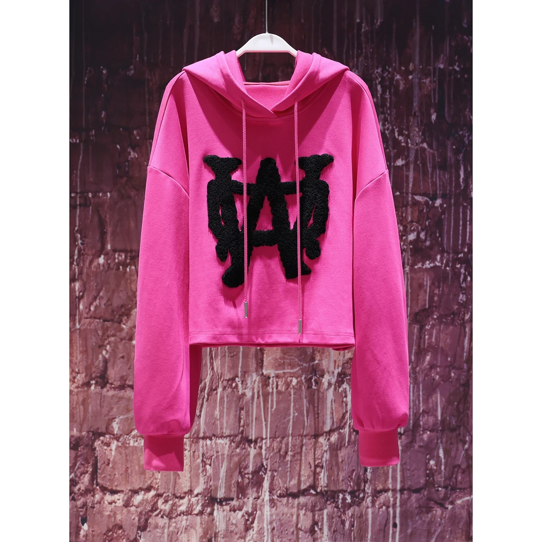 【韩哥女装】秋季欧货小众时尚感洋气显瘦减龄休闲连帽卫衣/1532