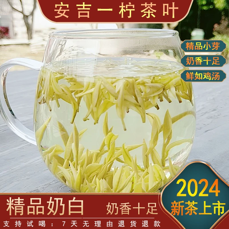 〖一柠-茶叶〗2024明前精品奶香黄金芽 K2 新茶上市 原产地