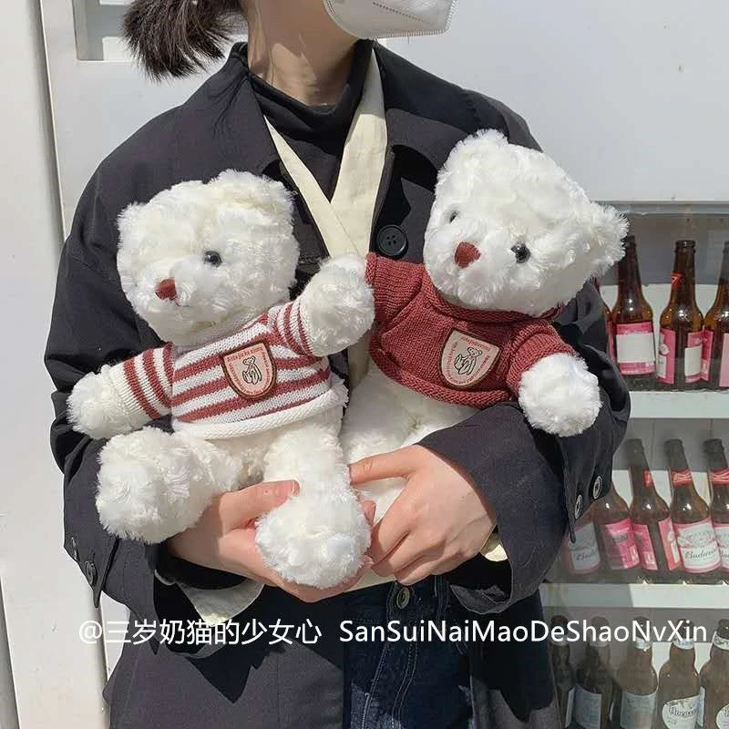 韩ins可爱毛绒泰迪熊玩偶学生毛衣小熊公仔玩具女生情侣生日礼物