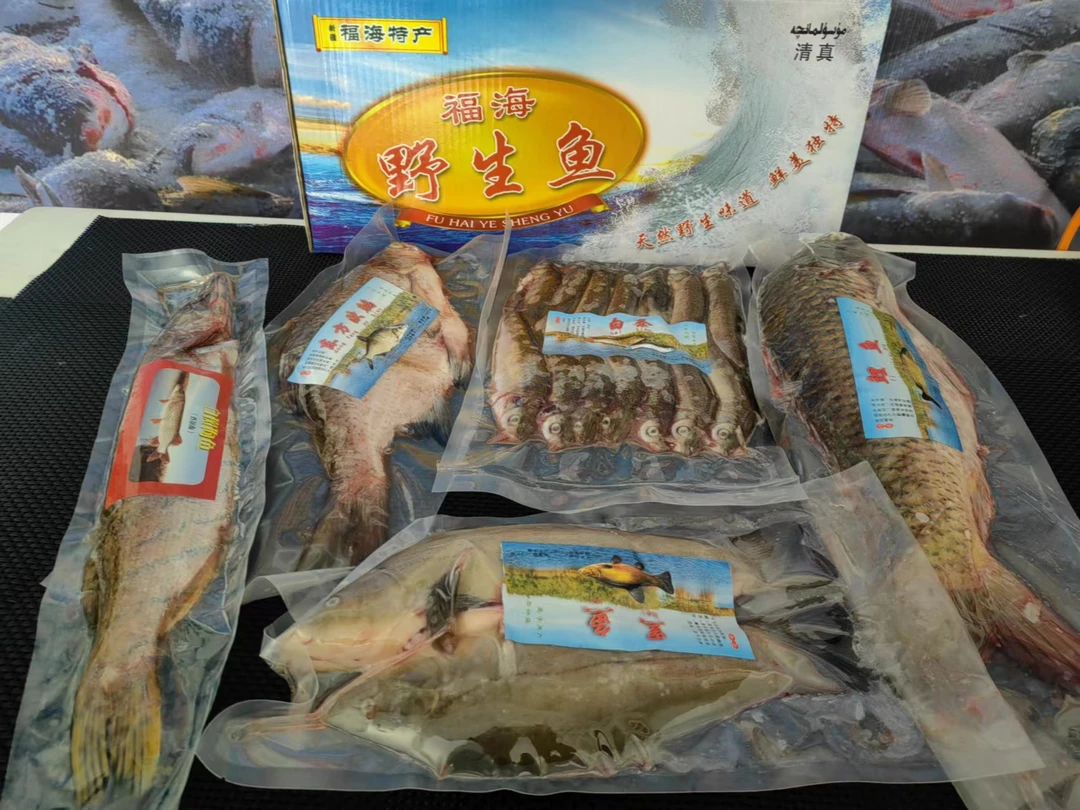 福海冷水鱼全家福 礼盒 5种鱼5千克狗鱼黑鱼白条东方欧鳊