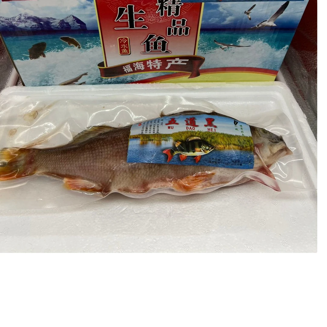 速冻 福海野生特大五道黑 2千克3条左右