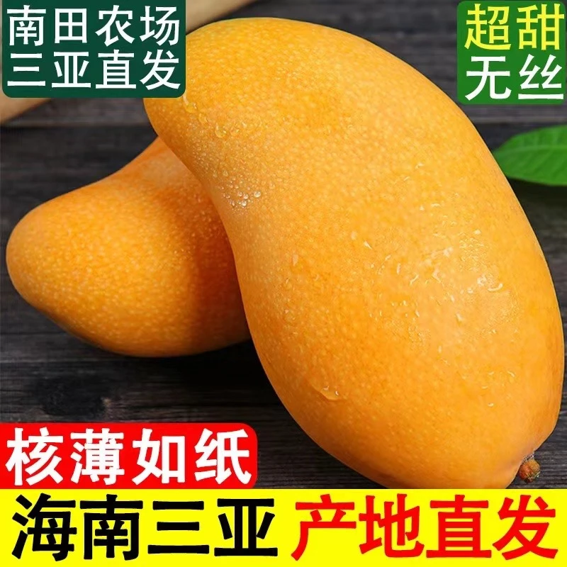 【顺丰】一级高品质正宗海南三亚金煌芒果 净重5/8斤礼盒装新鲜水果