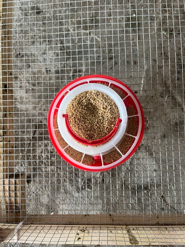 苏记脱温苗专用饲料(改价款)