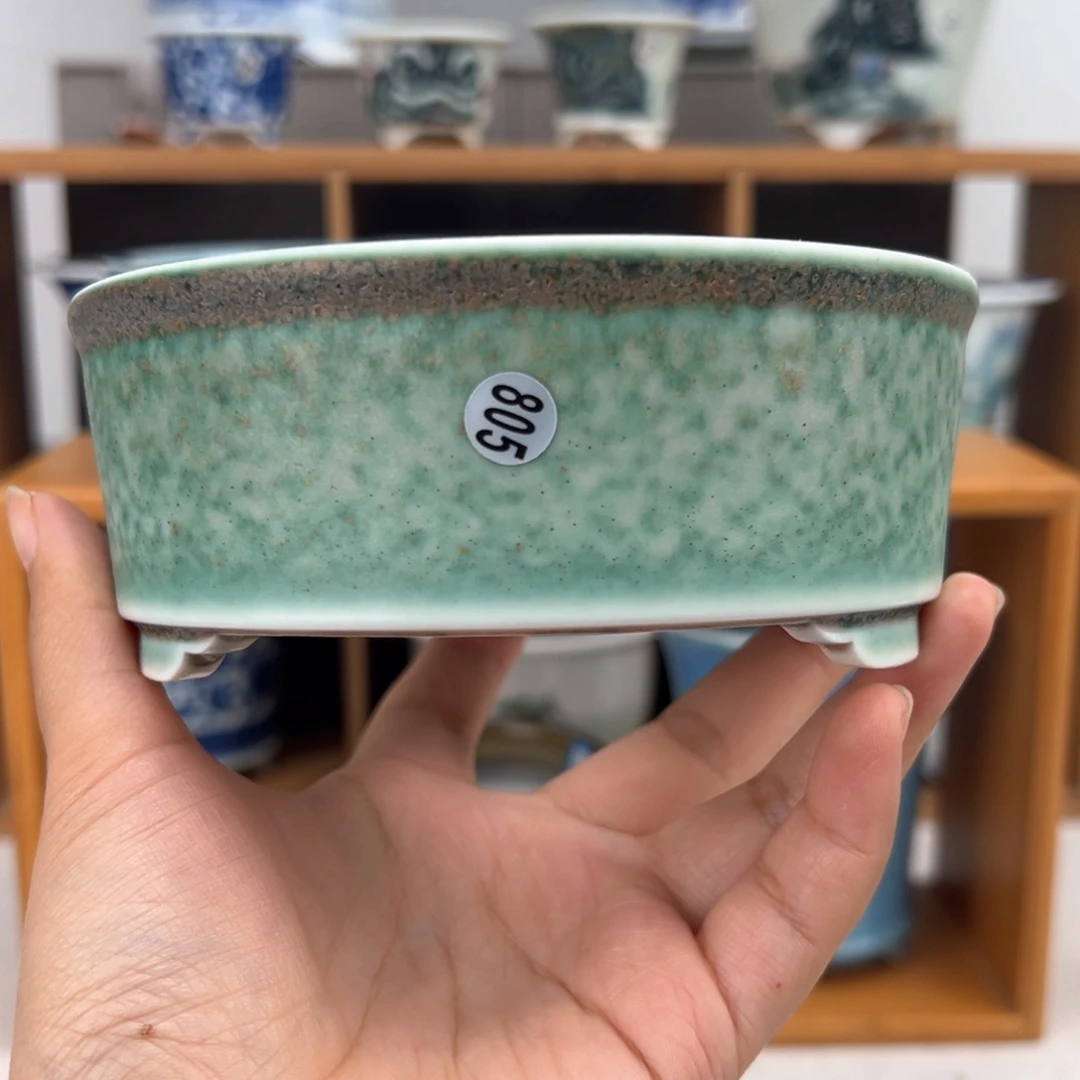 红陶双十一福利价