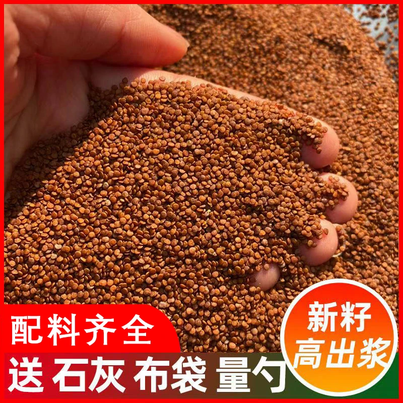 四川手工气泡冰粉籽爱玉籽实体出摊商用冰粉新鲜手搓冰粉家用散装