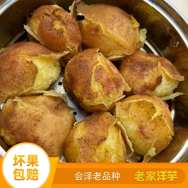 (会泽)老品种面洋芋 粉面沙糯 个头偏小 新鲜现挖包邮
