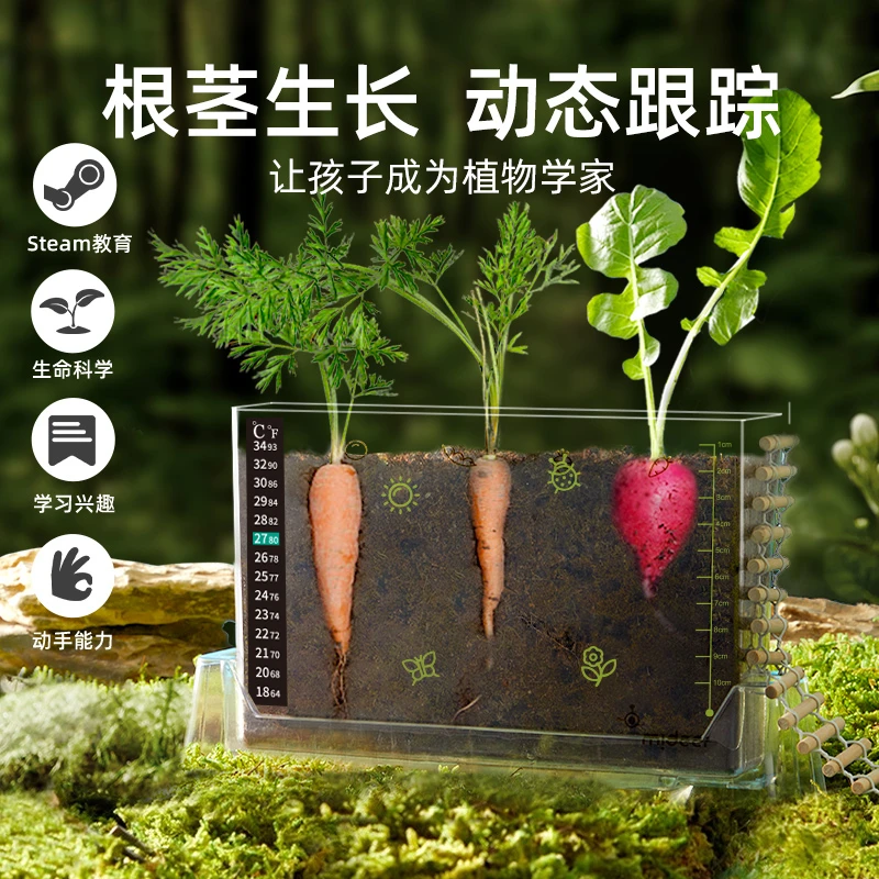 儿童种植根部生长种菜玩具科学小实验学生浇水植物观察盒幼儿礼物