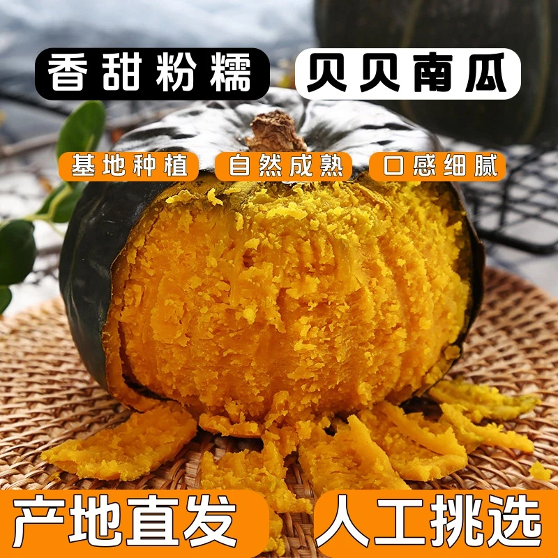 山东正宗贝贝南瓜十里田园农场2斤贝贝板栗南瓜粉糯香甜产地直发