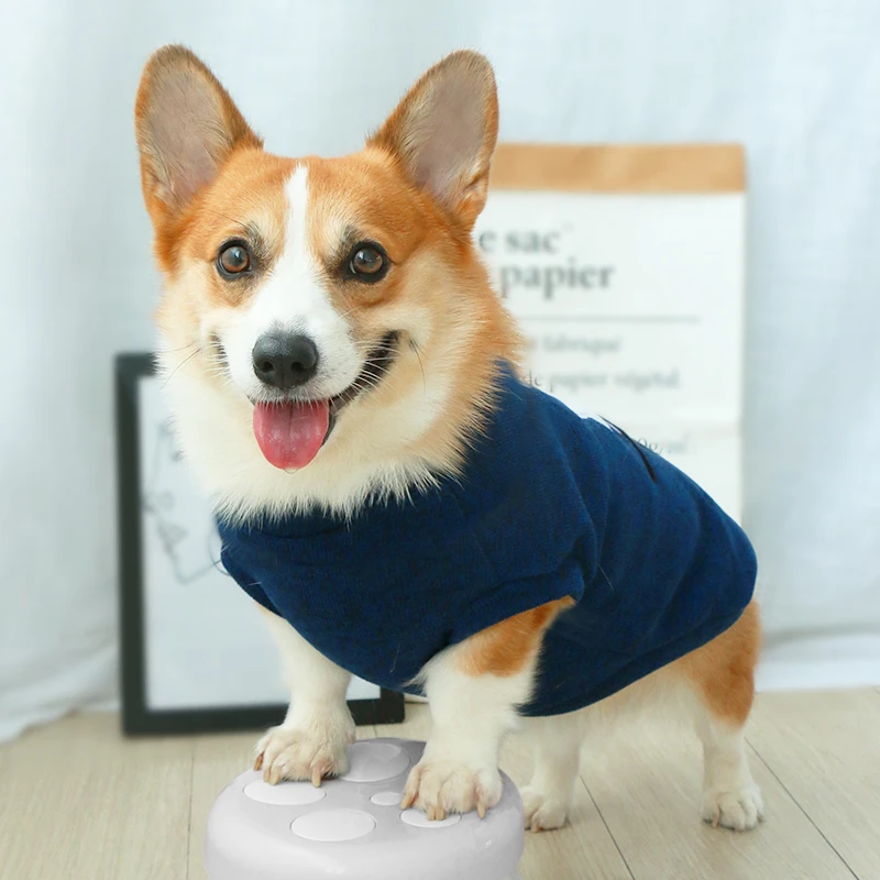 宠物衣服狗狗秋冬可爱柯基中型犬冬季保暖小型犬冬天针织2024新款