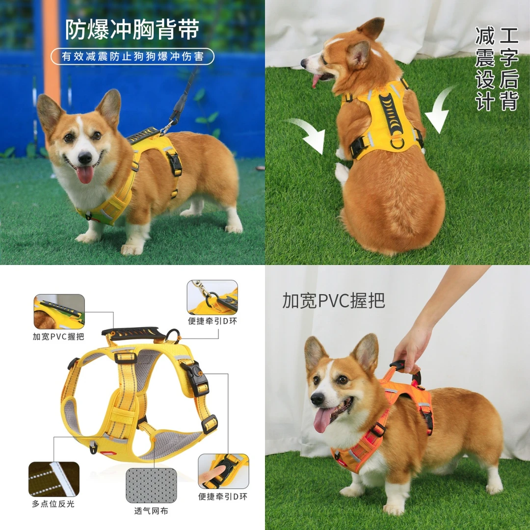 宠物胸背带狗狗牵引绳中型犬幼犬背心式防爆冲项圈遛狗绳柯基泰迪